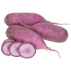 DAIKON ROSSO RETTICA (BIO) DE