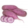 Daikon Viola Biologico