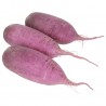 Daikon Viola Biologico