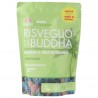 Risveglio di Buddha Ananas & Erba di Grano Bio Vegan farina Superfood