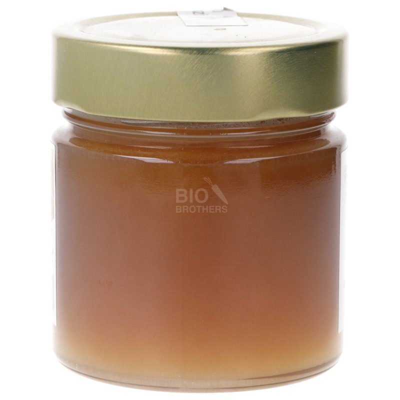 MIELE DI EUCALIPTO ITAL.280G SLS