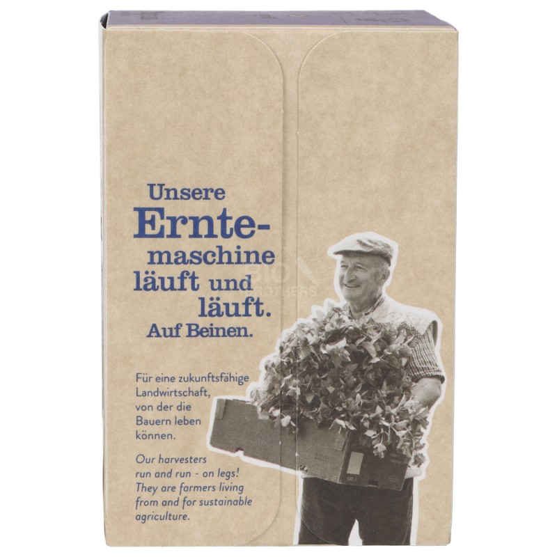 TIMO INFUSO 18FILTRI SNN