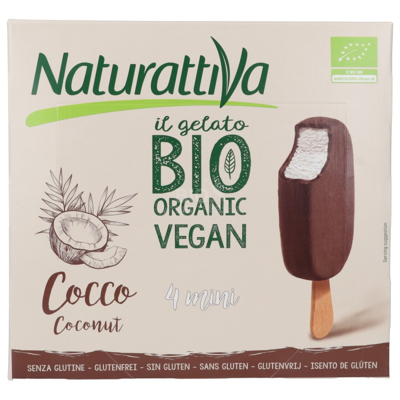 MINISTECCO BIOLOGICO AL COCCO VEGAN 4X50GR NATURATTIVA