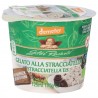 Gelato Biologico gusto Stracciatella con latte fieno