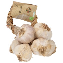 AGLIO ROSSO DI NUBIA PZ (BIO)