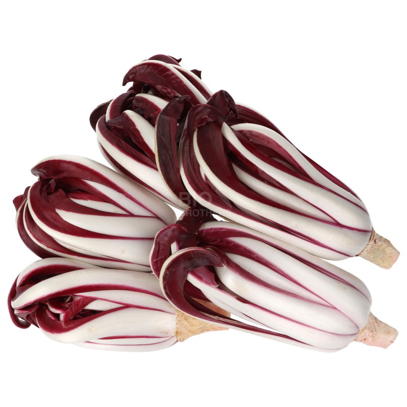 RADICCHIO TARDIVO (BIO)