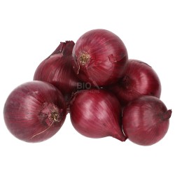 CIPOLLA ROSSA (BIO)