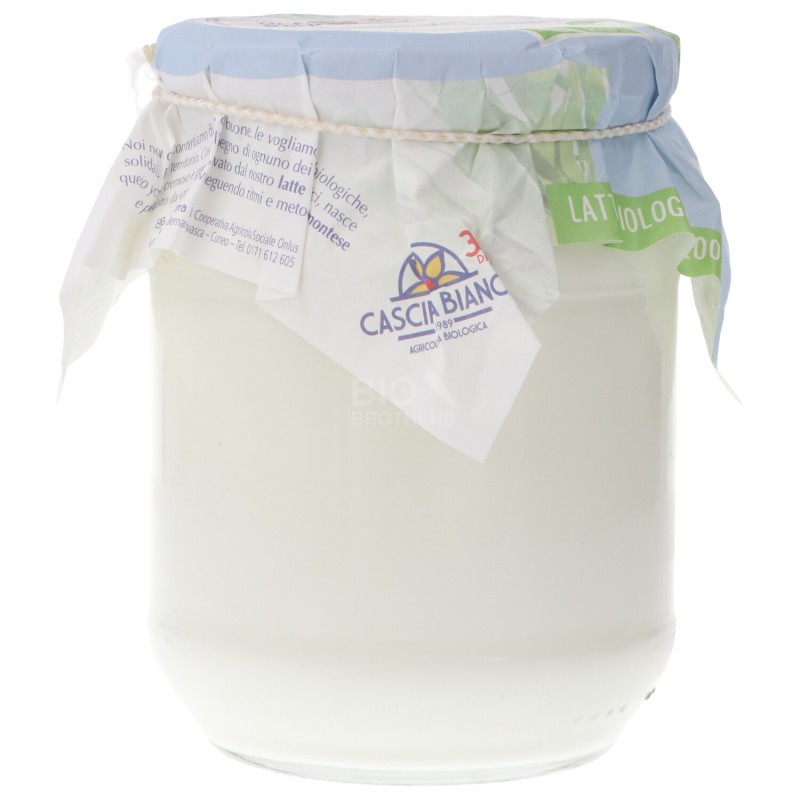 YOGURT MAGRO 500GR CASCINA B.CA