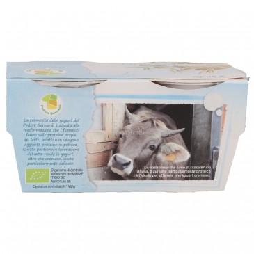 YOGURT AVENA NOCI 125GX2 BERNAR YOGURT AVENA NOCI 125GX2 BERNAR