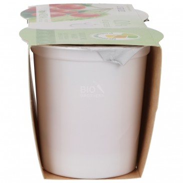 YOGURT MAGRO BIO ALL'AMARENA 2X125G BERNARDI YOGURT MAGRO BIO ALL'AMARENA 2X125G BERNARDI