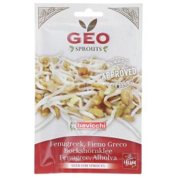 SEMI FIENO GRECO 35GR GERM. GEO