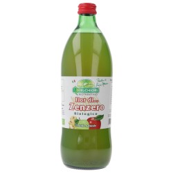 SUCCO MELA ZENZERO 750ML BIOTN
