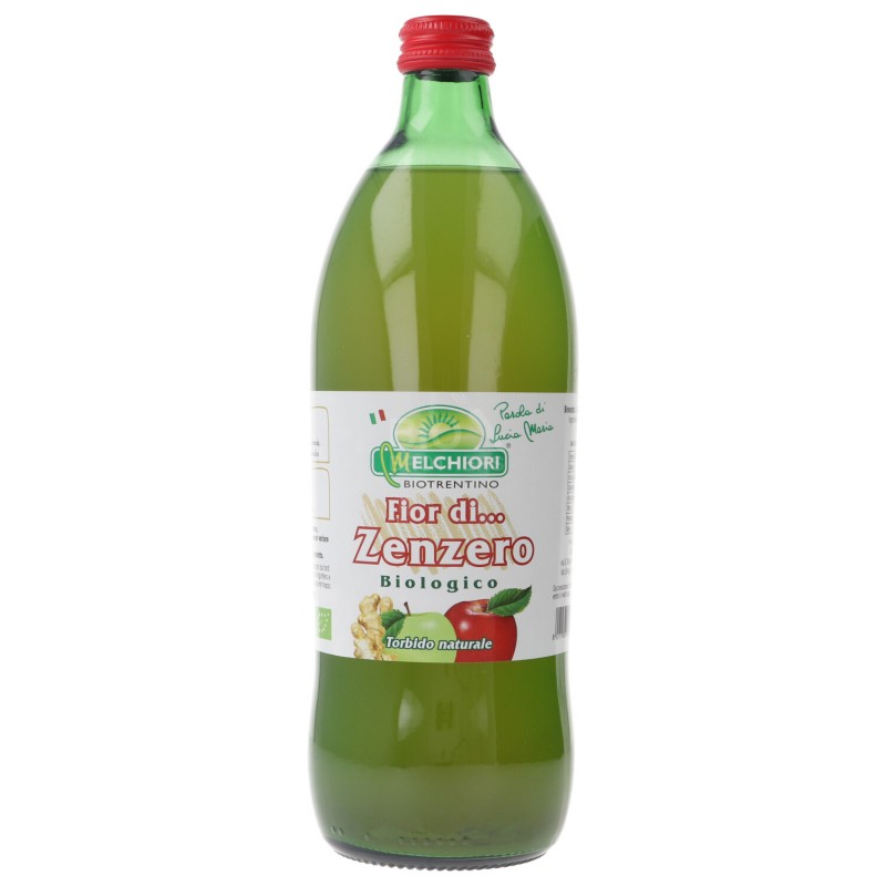 SUCCO MELA ZENZERO 750ML BIOTN