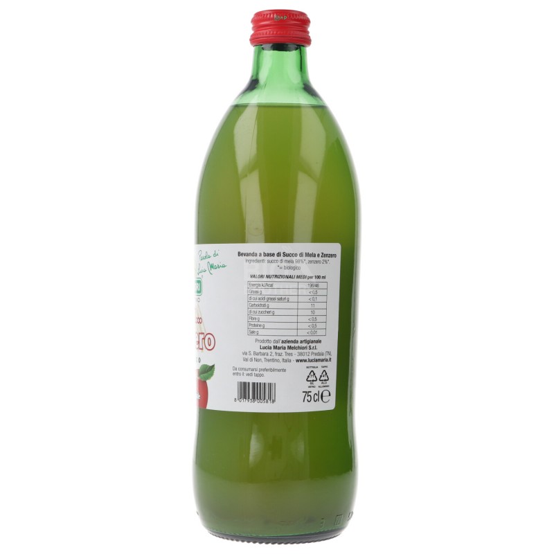 SUCCO MELA ZENZERO 750ML BIOTN