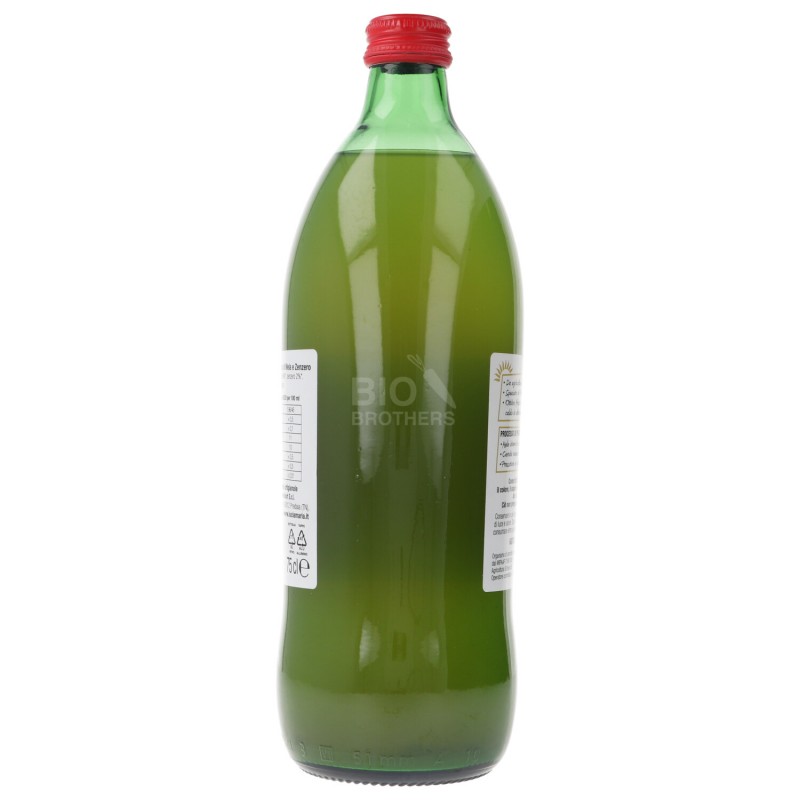 SUCCO MELA ZENZERO 750ML BIOTN