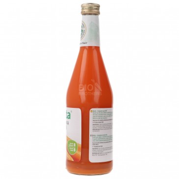 SUCCO CAROTA 500ML BIOTTA