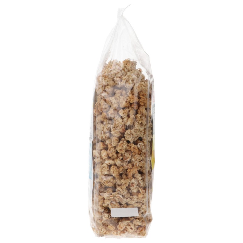 Crunchy con avena limone e zenzero bio