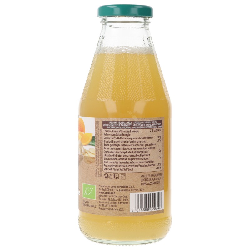 SUCCO ARANCIA ZENZERO 500ML