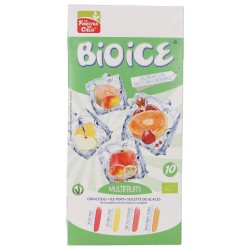 MULTIFRUTTI 400ML BIO ICE