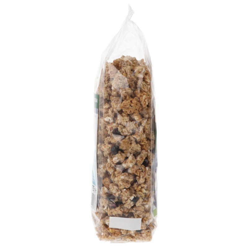 Crunchy vegan con avena e mirtilli