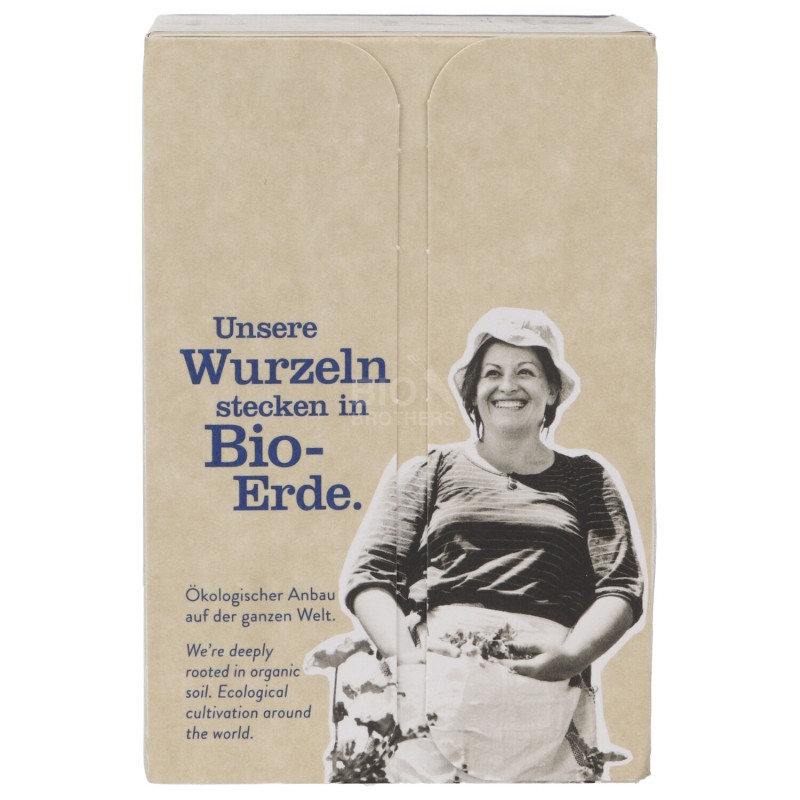 Infuso di zenzero in filtri