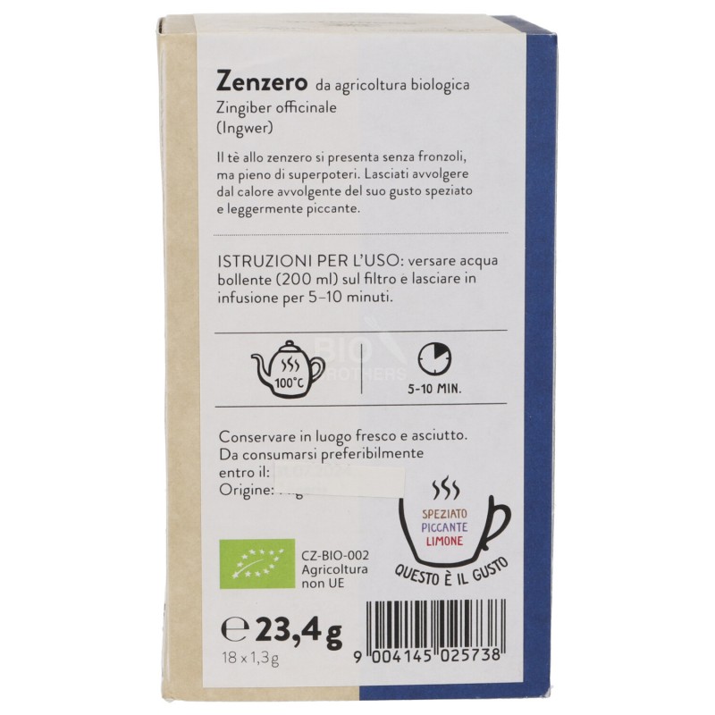 Infuso di zenzero in filtri