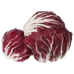 RADICCHIO_TONDO ROSSO (BIO)