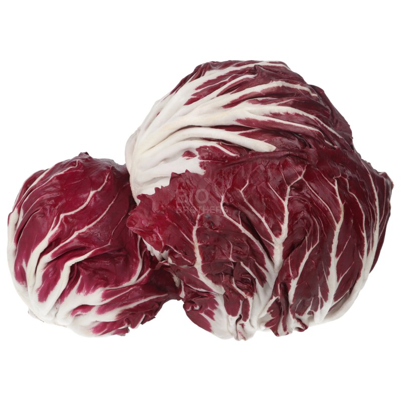 RADICCHIO_TONDO ROSSO (BIO)