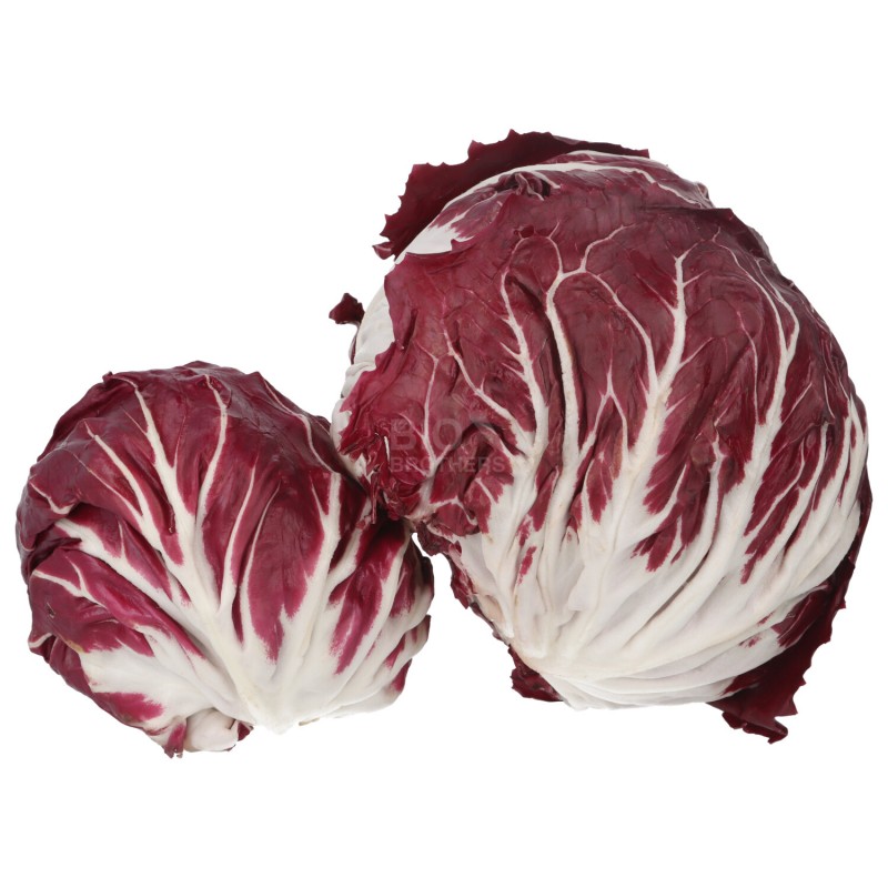 RADICCHIO_TONDO ROSSO (BIO)
