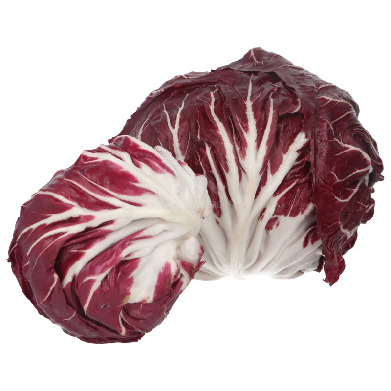 RADICCHIO_TONDO ROSSO (BIO)
