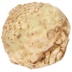 SEDANO RAPA (DEMETER) DE