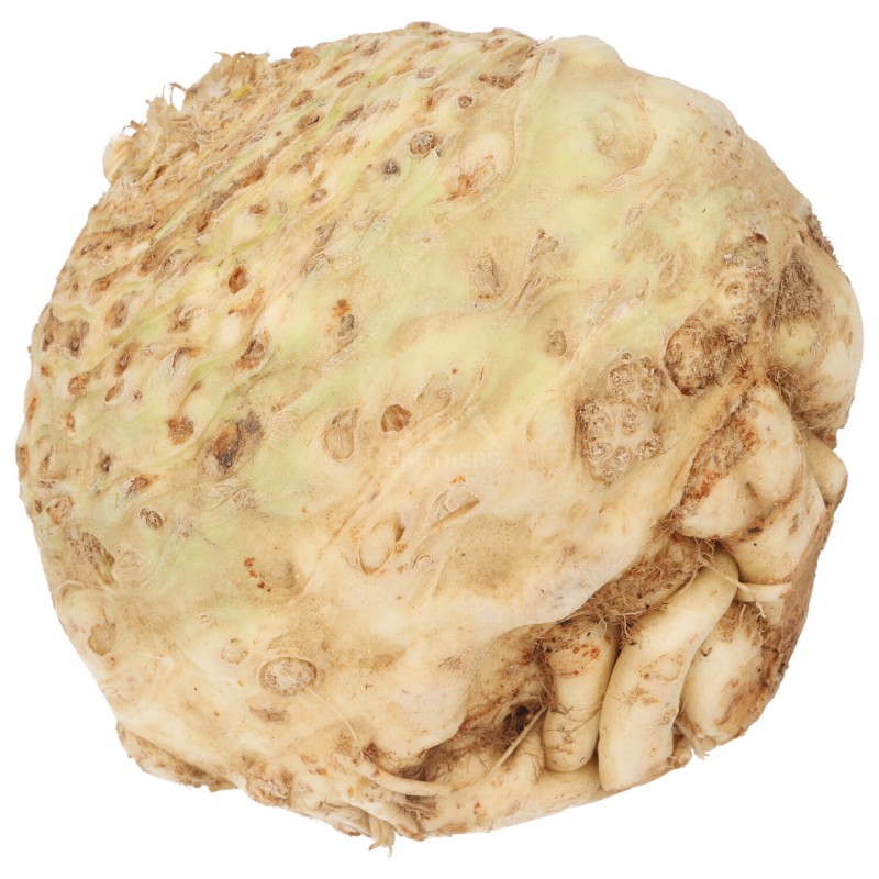 SEDANO RAPA (DEMETER) DE