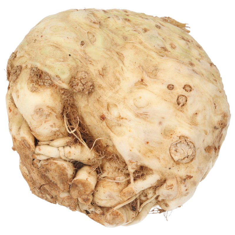 SEDANO RAPA (DEMETER) DE