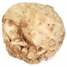 Sedano Rapa Biologico