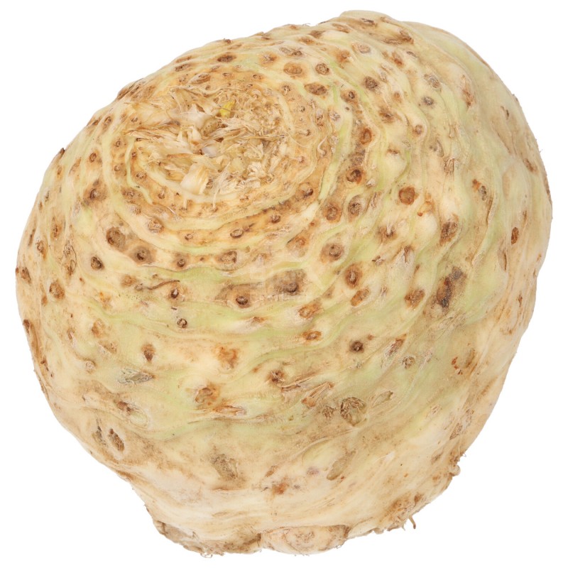 SEDANO RAPA (DEMETER) DE