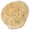Sedano Rapa Biologico