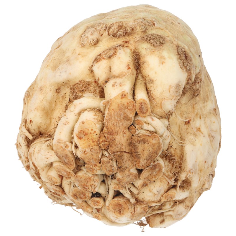 SEDANO RAPA (DEMETER) DE