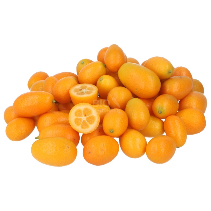 KUMQUAT (DEMETER) ORIGINE ITALIA