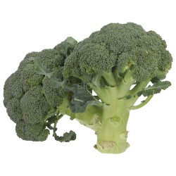 BROCCOLO (BIO)