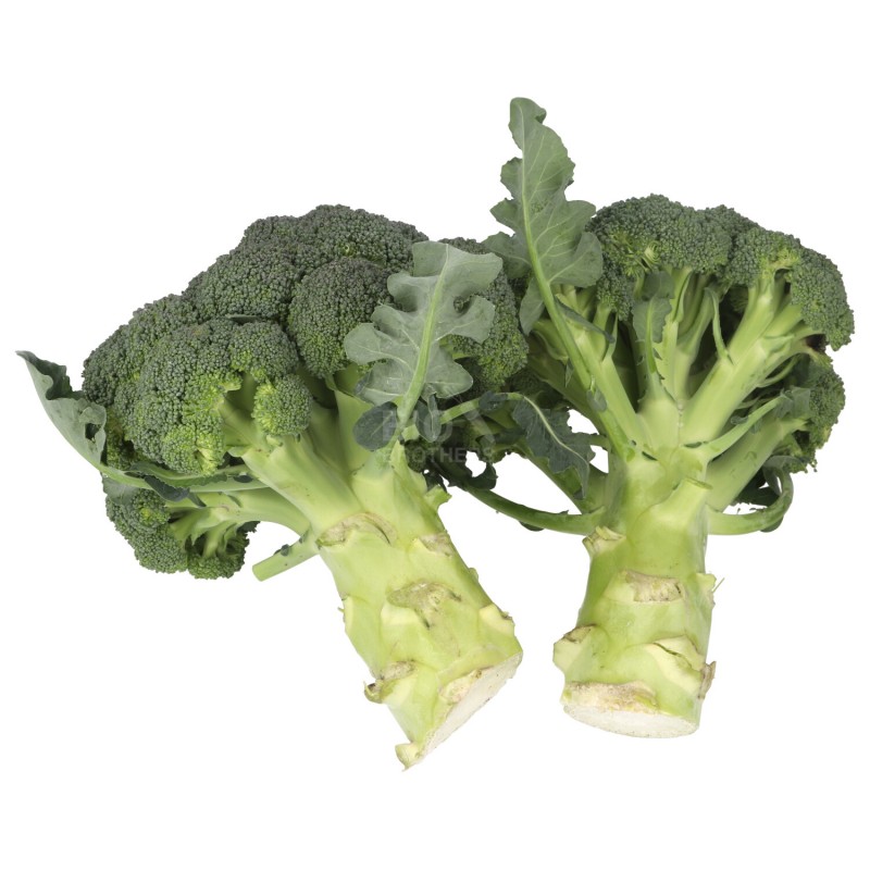 BROCCOLO (BIO)