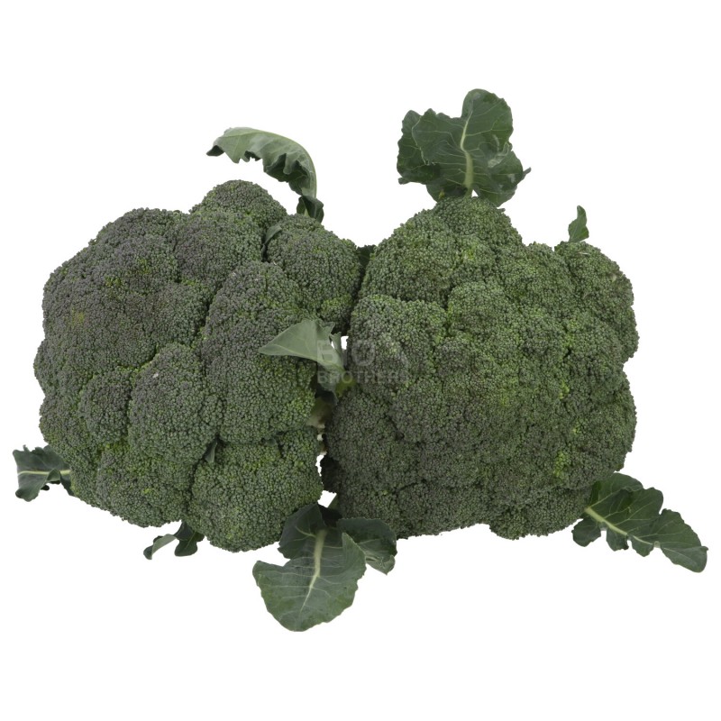 BROCCOLO (BIO)