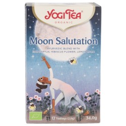 Moon Salutation, infuso ayurvedico Bio in filtri con Eucalipto, Ibisco bianco e Agrumi