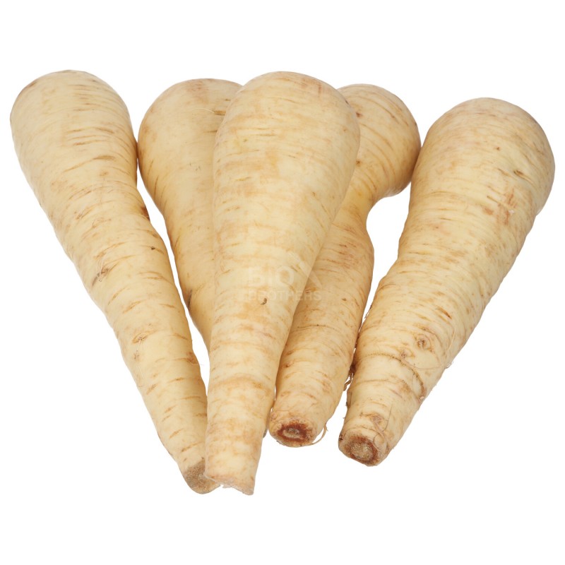 PASTINACA (DEMETER) DE