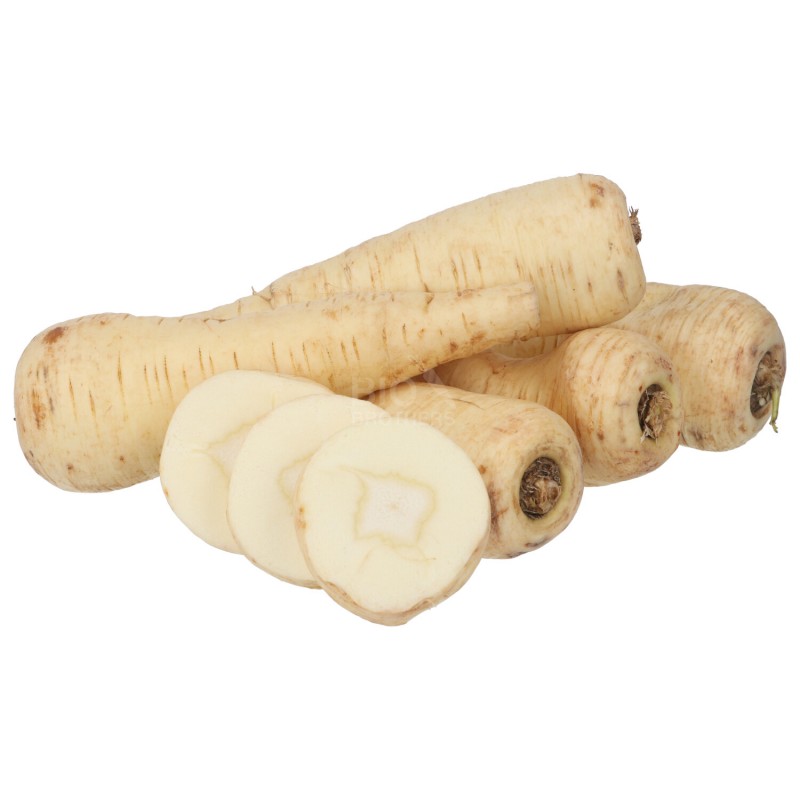 PASTINACA (DEMETER) DE