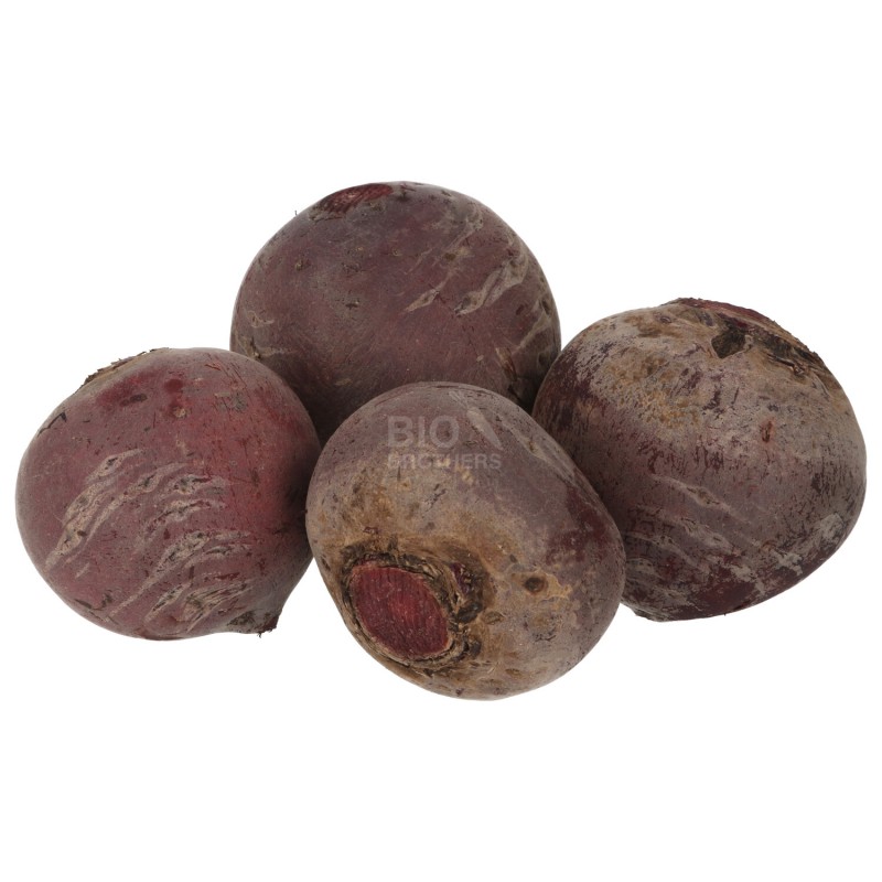BIETOLE ROSSE (BIO)