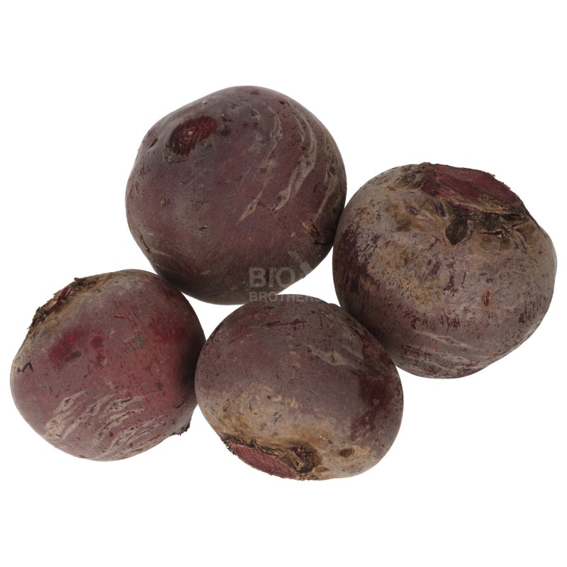 BIETOLE ROSSE (BIO)