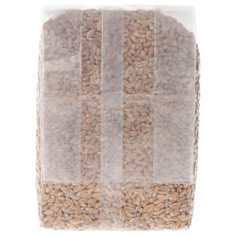 FARRO DECORTICATO 500GR BIO