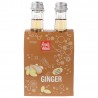 Ginger Bibita Bio gassata in bottigliette