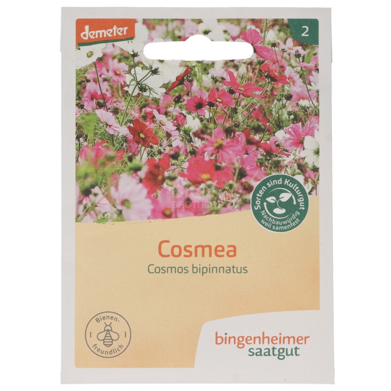 COSEMA FIORI SEMENTI DEMETER BUSTINA 0.5G