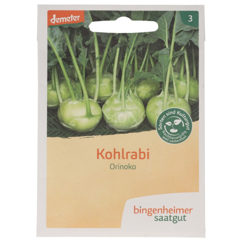 CAVOLO RAPA SEMI DEMETER BUSTINA 0.4G